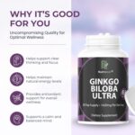 nutridoor ginkgo biloba ultra with red asian ginseng, ginkgo leaf extract & powder, 1420mg, 60 vegetarian capsules, memory & focus support supplement
